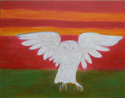 Sunset Barn Owl