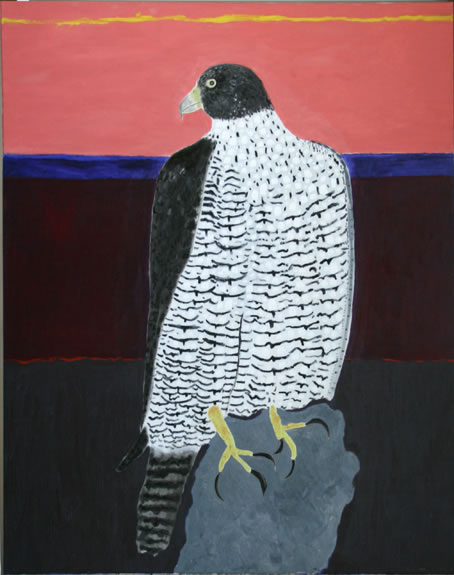 Peregrine