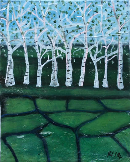 Line of Birch Trees